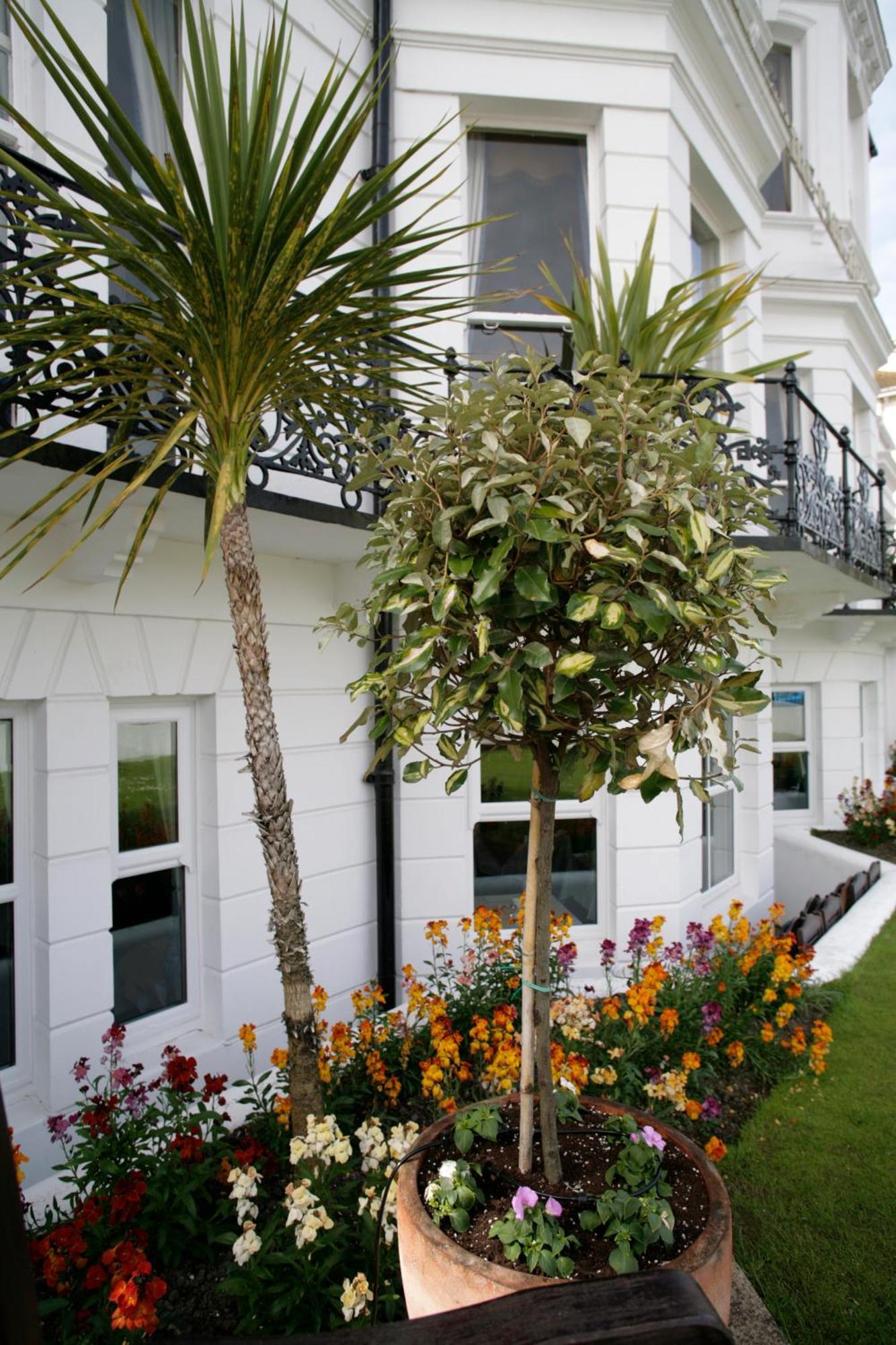 Devonshire Park Hotel WTA-toernooi van WTA-toernooi van Eastbourne Buitenkant foto
